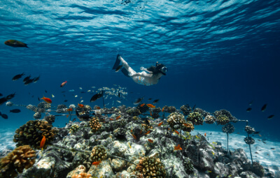 A woman snorkeling underwater