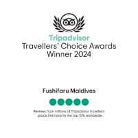 Tripadvisor Travelers Choice 2024