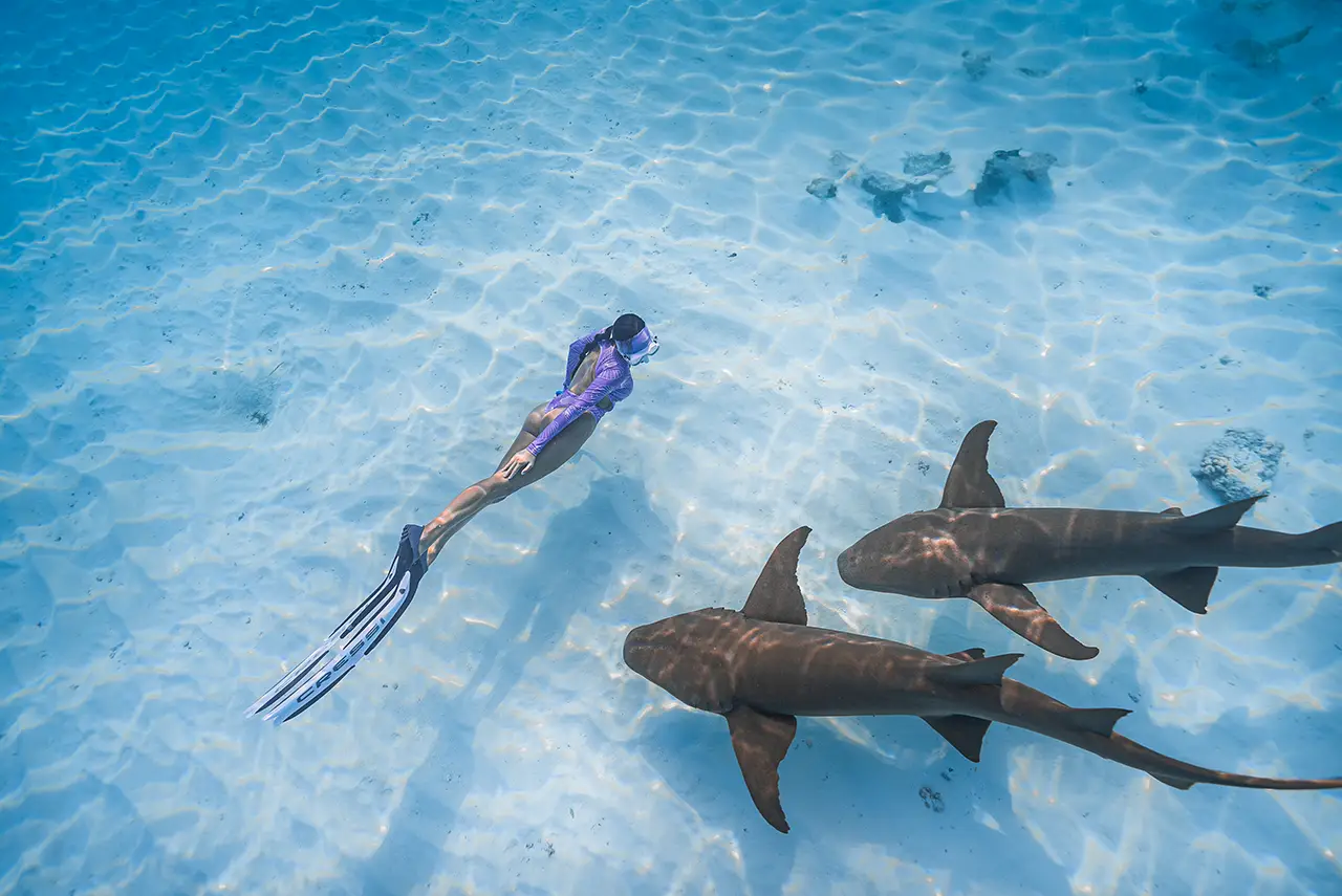 Top Snorkelling & Diving spots at Fushifaru